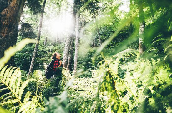 Le Chemin des Boss blog la confiance en soi cover