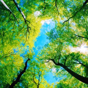 booster sa créativité cover article -