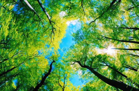 booster sa créativité cover article -