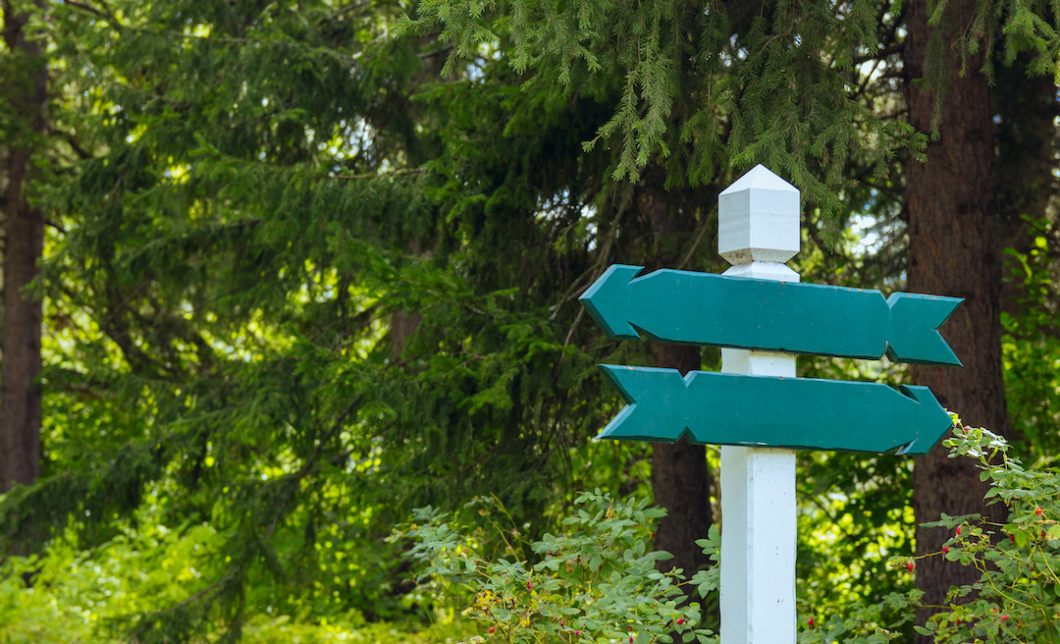 faire le bon choix cover article - panneaux de direction dans une forêt