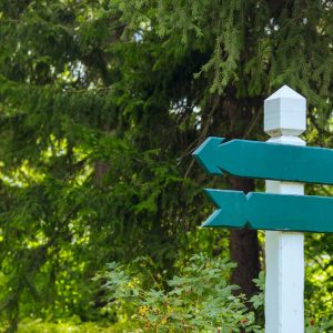 faire le bon choix cover article - panneaux de direction dans une forêt