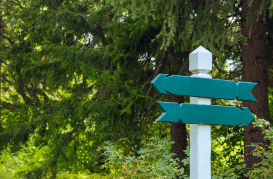 faire le bon choix cover article - panneaux de direction dans une forêt