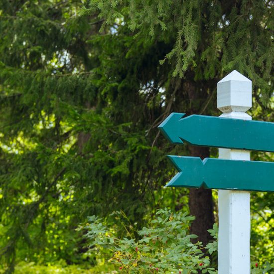faire le bon choix cover article - panneaux de direction dans une forêt